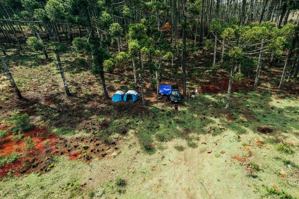 Quelles tendances actuelles influencent le secteur du tourisme ?