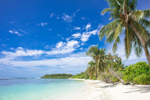 Les stratégies cachées des offres de codes promo voyage : ce que vous devez savoir